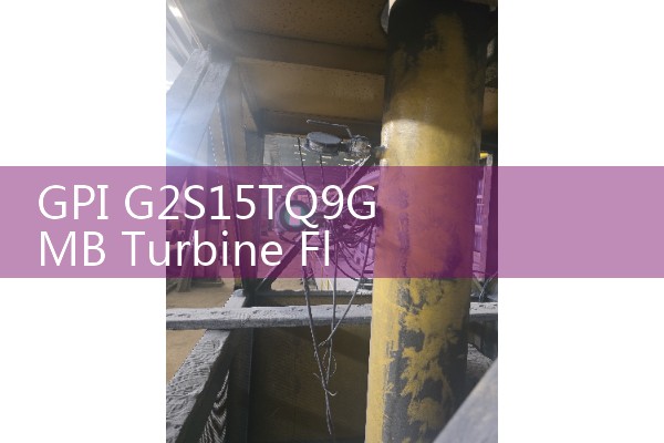 GPI G2S15TQ9GMB Turbine Flow Meter: Heavy-Duty Chemical Fluid Sensors